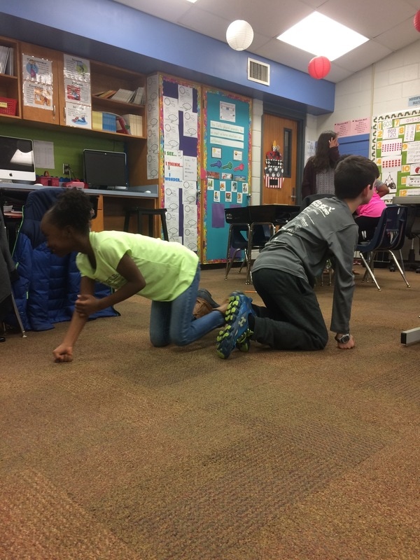 Students knuckle walking across the classroom while searching for primate food items