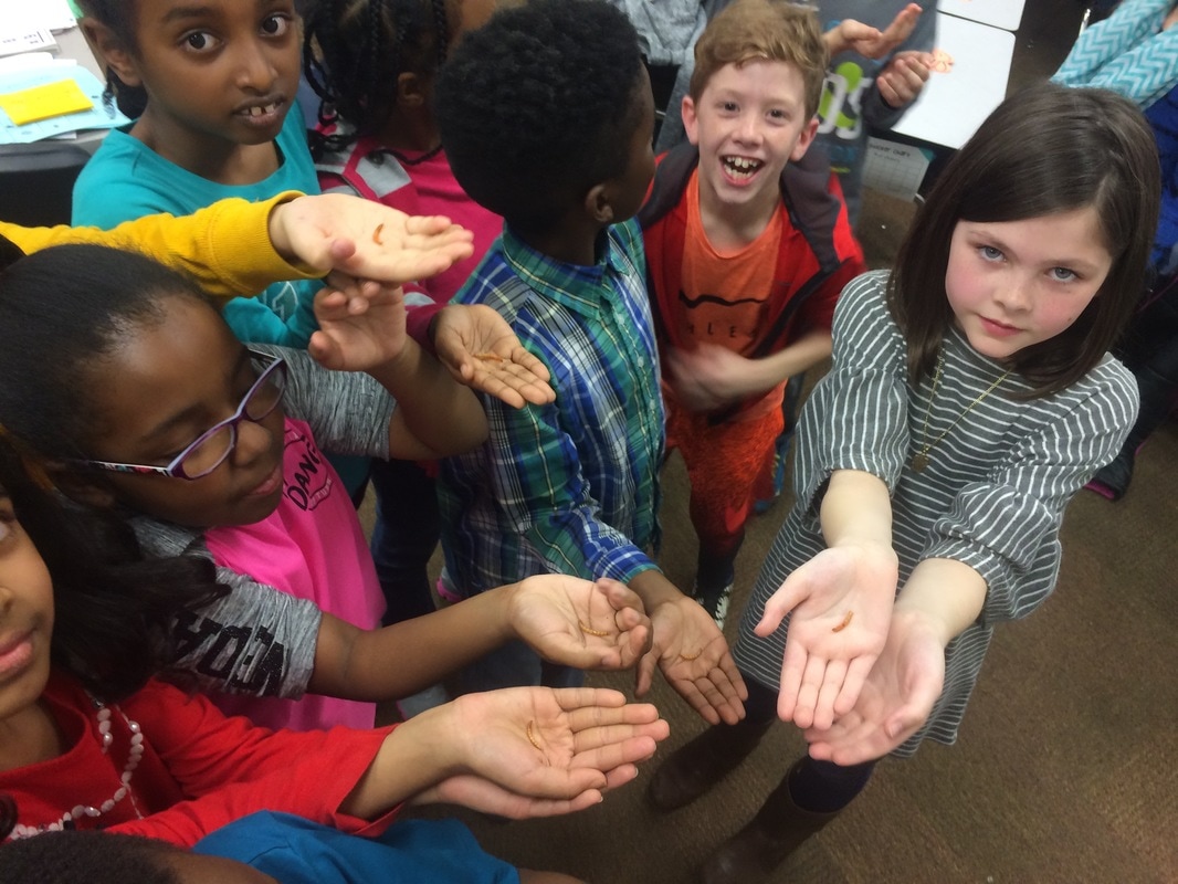 TMSE students holding crickets in their hands and smiling at the camera. 
